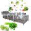 2020 custom models blanching machine chips/frozen french fries blanching machine