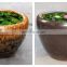 Malaysian style large ceramic plant pot for home decor