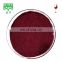 Instant red wine extract powder