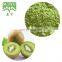 Kiwi Fruit Extract Powder
