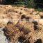 Cheap Wholesale Dry water hyacinth raw cord, Raw material rope for making Handcraft DIY Best Price Vietnam Supplier