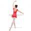 Girls Leotard with Skirt, Ballet Leotard and Skirt