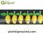 Industrial ice pop fold label machine