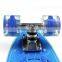 New safety quality assurance PC Plastic transparent blue skate board skateboard Fish Shaped small size EC-FC01