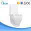 High Watertank One Piece Toilet