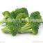 Wholesale Factory Price China Fresh Broccoli Green Broccoli