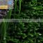 2016 Popular 50mm Soccer Football Synthetic Turf Artificial Grass SS-041004-ZJ