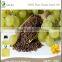 Top food grade cold pressed Grape Seed Oil, 100% Pure Grape Seed Oil