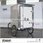 ESTER 2016 new style Electric Cargo Trike