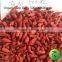 premium quality ningxia goji berry wholesale