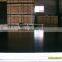 12 15 18 21mm size 1220*2440mm black film faced plywood