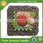 Decorative Round Flower Cheap Garden Stepping Stones