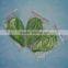 Plastic Sushi decorative green leaf