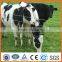 Cattle Field Fence, Cattle Feed Fence From Direct Factory(ISO9001 certification)