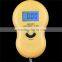 Smart Weigh Precision Electronic Industry Small Scale