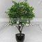 Wholesale high quality Artificial small tree bonsai for indoor outdoor decoration