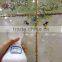 Glossy Vetrosa Third Firing Relief Vetrosa