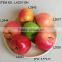 Realistic artificial foam apples in assorted colours for fall autumn fallorhalloween seasonal display decorations
