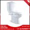 Alibaba China Manufacturer Sanitary Ware Accessories Disabled Toilet