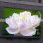 LED display module P10 outdoor led video screen