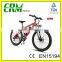 High Quality and Reasonable Price Off Road Ebike for Sale Supplier