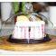 plates dishes dinnerware type glass cake stand