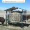 2015 New Feeder for Pasture
