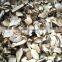 TAPIOCA CHIP_ CHEAPEST PRICE and GOOD QUALITY (mary@vietnambiomass.com)