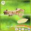 2017bulk Chinese organic fresh ginger with Eu organic certificate