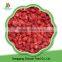 Top quality iqf frozen strawberry all red