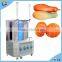 Industrial Commercial Automatic Pumpkin Melon Pineapple Peeler