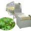 customized JN-20 microwave herbs dryer / drying equipment / machine