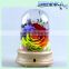 Quality Chinese Preserved Flowers In Glass Preserved Rainbow Roses