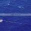 fishing boat anchor/sea anchor/Floating Anchors