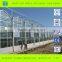 hydroponic greenhouse growing system for vegetable