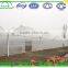 Commercial climate control Strawberry Greenhouse with Thermal system