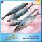 King Marine Whole Round Frozen Mackerel Fish