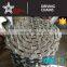 C2060 C2080 standard doube wide conveyor chains with extended pins