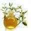 Jojoba Oil