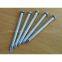 Q195 Wire Nails (factory Direct) High Quality and Low Price