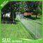 Rhombic Wire Mesh / Chain Wire Link Fence / Sport Field Fence