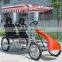 Two Person Roadster Surrey Bike