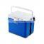 2 - 8 Degree Vaccine Cold Storage Cooler Box Outdoor Carry Ice Cooler with Temperature Display