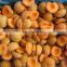 Sinocharm BRC New Crop IQF Apricot Halves With Skin