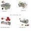 High Quality China Factory Uzbekistan Kyrgyzstan Moldova Canadian Cherry Plum Pitter