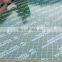 Shandong plywood  green pp plywood