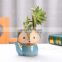 New Design Fox Shape Succulent Flower Pot Set Low Price Cute Flower pot