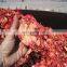 Pomegranate processing machine/Pomegranate peeling machine