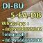 Stable supply CAS 303-98-0 Coenzyme Q10 5F-A-DB H-U-210 B-MDP DI-BU