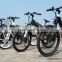 36V 250W electric bicycle e-bike with aluminium alloy frame CE SGS EN15194(FJ-TDE06)